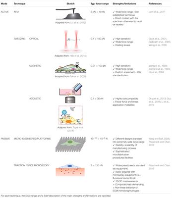 Biomechanical Characterization at the Cell Scale: Present and Prospects